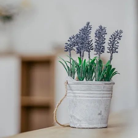 Kalafat アパート